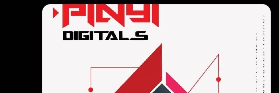 Pinyi's banner