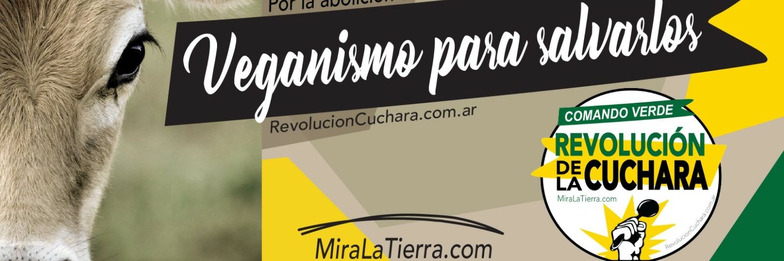 cucharaarg's profile banner image
