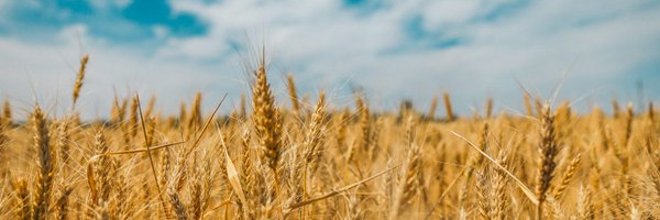 ME2andA_Lab Profile Banner