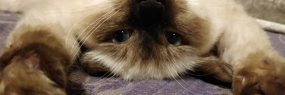 jiw00s's profile banner image