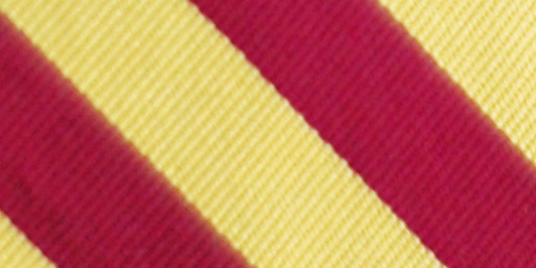 Phi Kappa Theta Fraternity banner