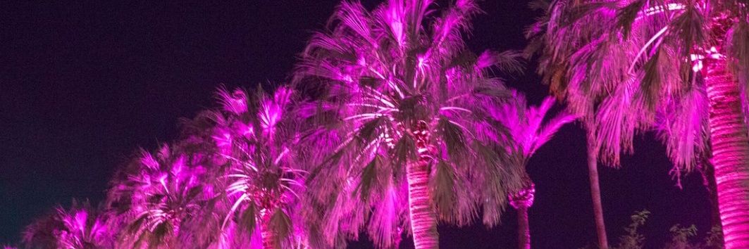 Miguel Melgoza banner