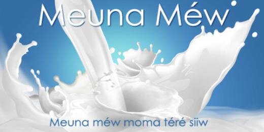 MeunaMew's profile banner image