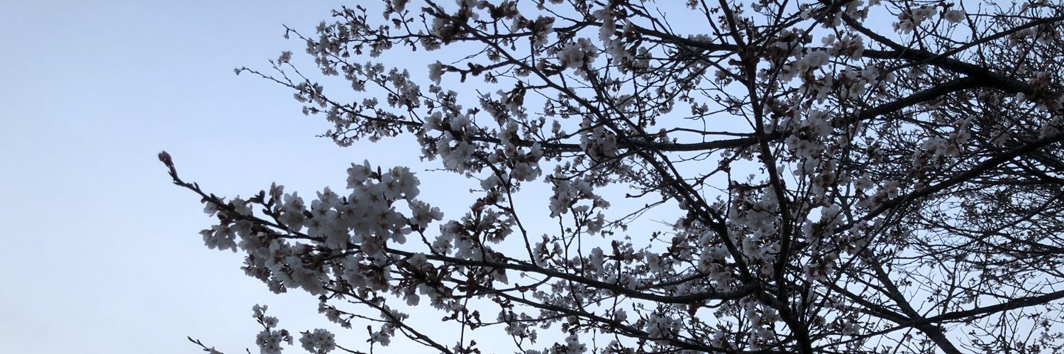NoteYyy's profile banner image
