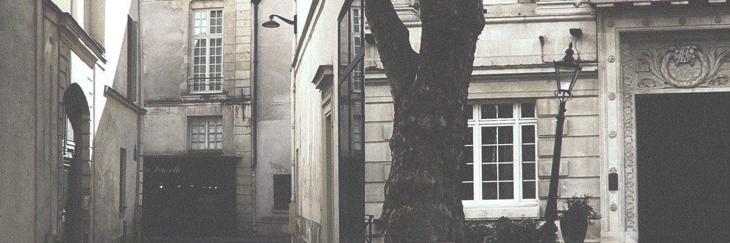 lfesyeux's profile banner image