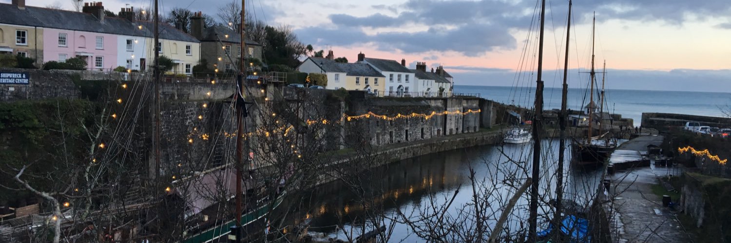 Felicity Owen 💙💚 banner