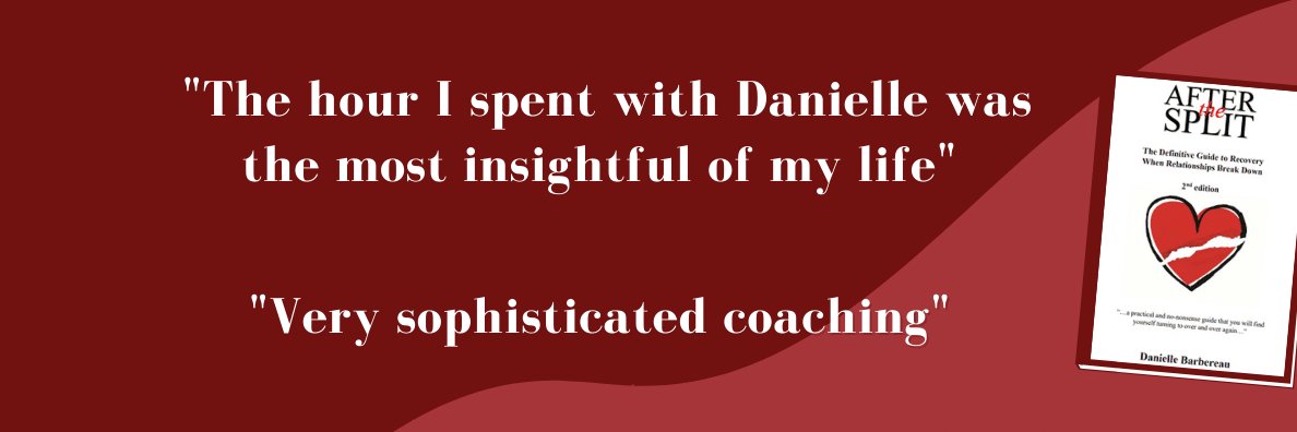 Danielle Barbereau Writer 📚Coach MAC banner