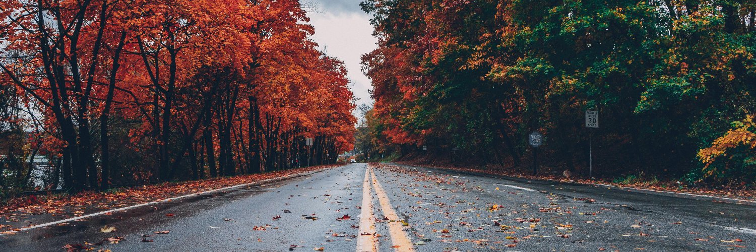 |آقای فرهادی| banner