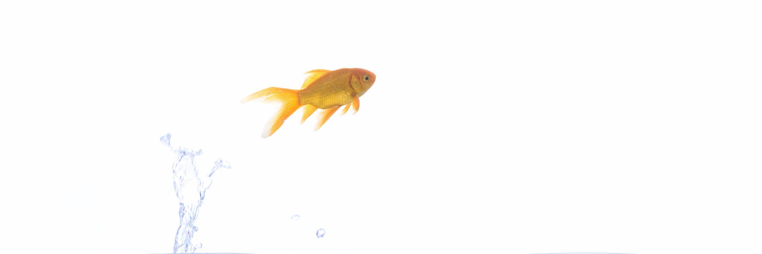 mikereedrhythm's profile banner image