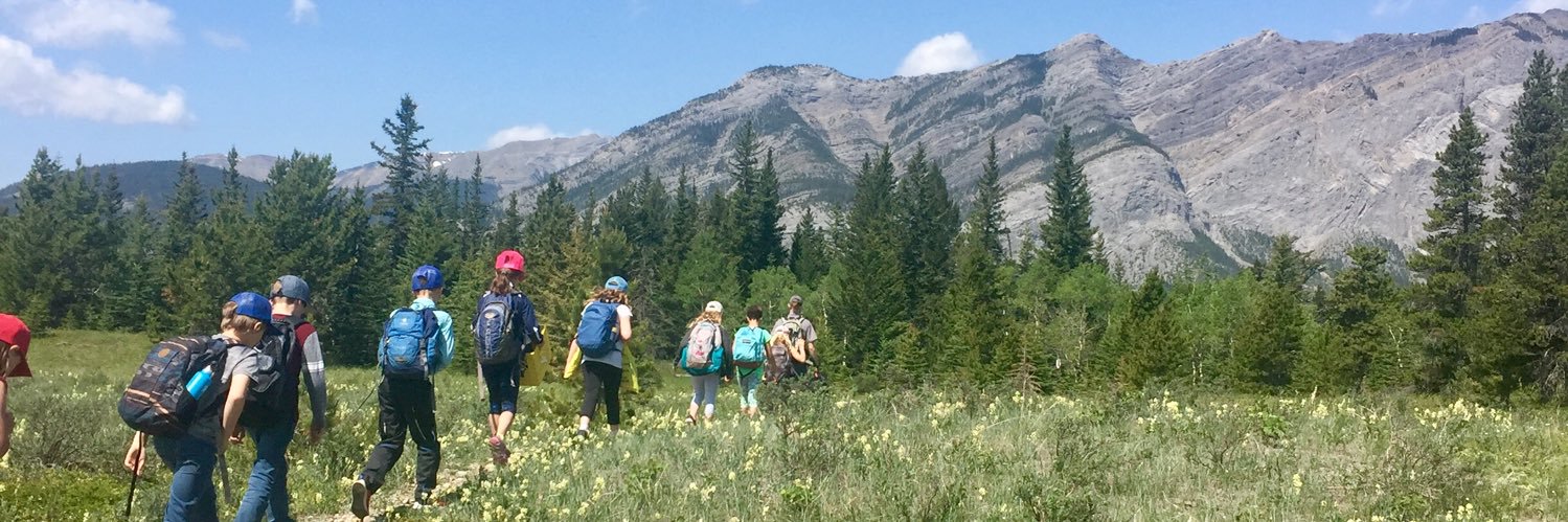 NatureImmersion's profile banner image