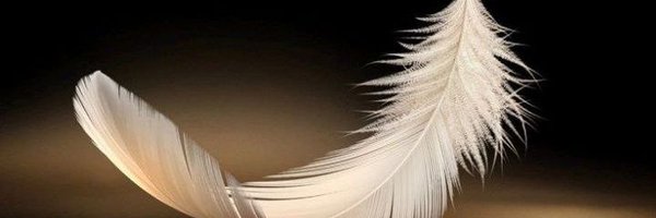 SSy3u5 Profile Banner