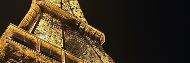 nelly (olivia’s version) banner