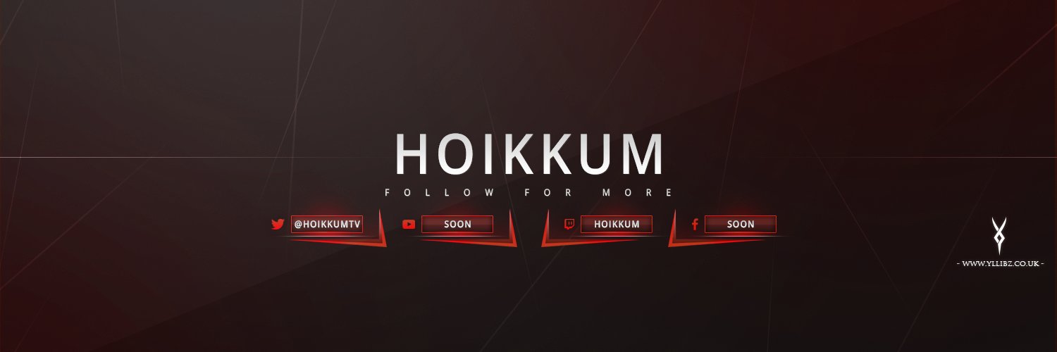 Hoikkum banner