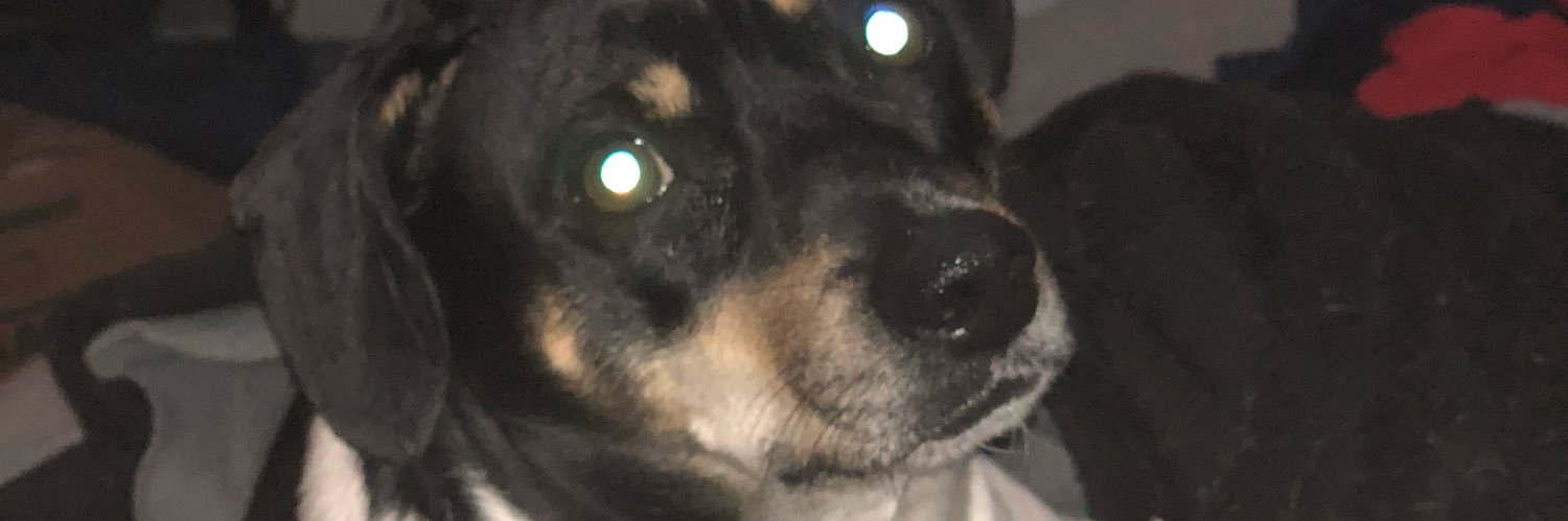 JacobFancySauce's profile banner image
