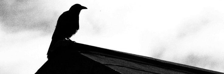 ͏ ͏'s banner