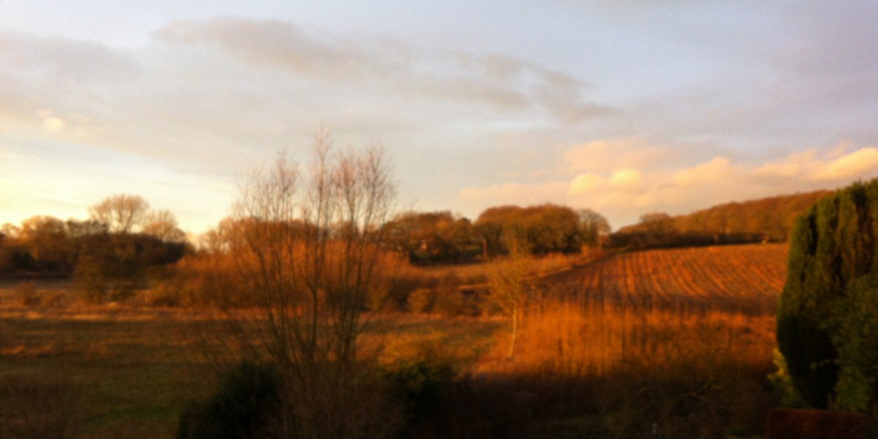 ✨hellomynameistara✨💙 banner