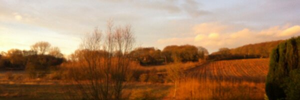 TaraFilby Profile Banner