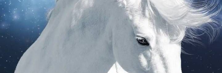 ebruharrington's profile banner image