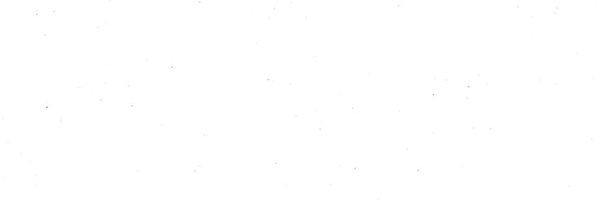 petalulip Profile Banner