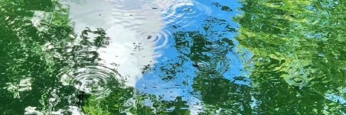 707QingQiu's profile banner image