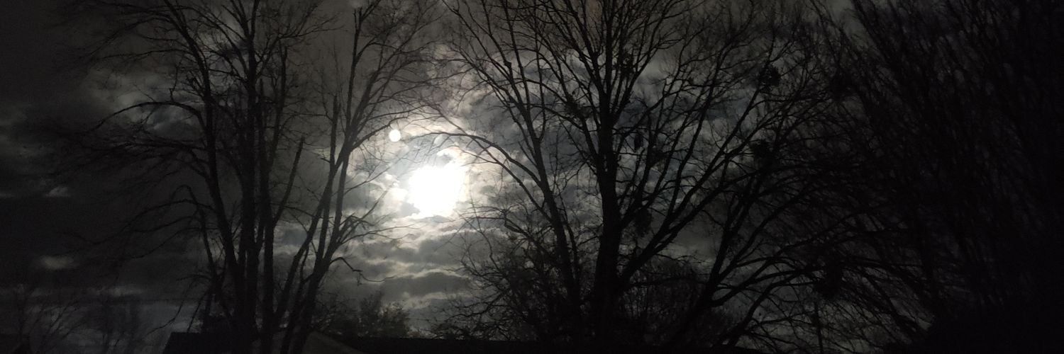 weirdagogo's profile banner image
