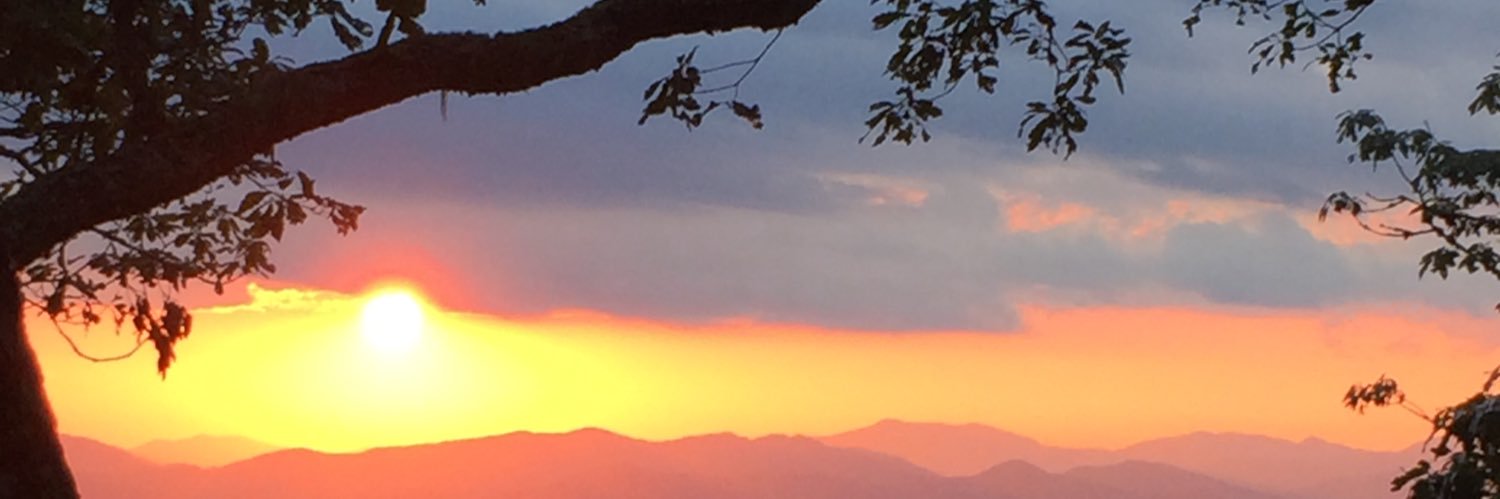 mattlanza2's profile banner image