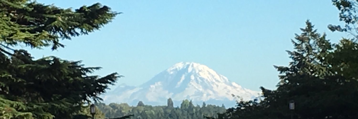 mountrainier banner