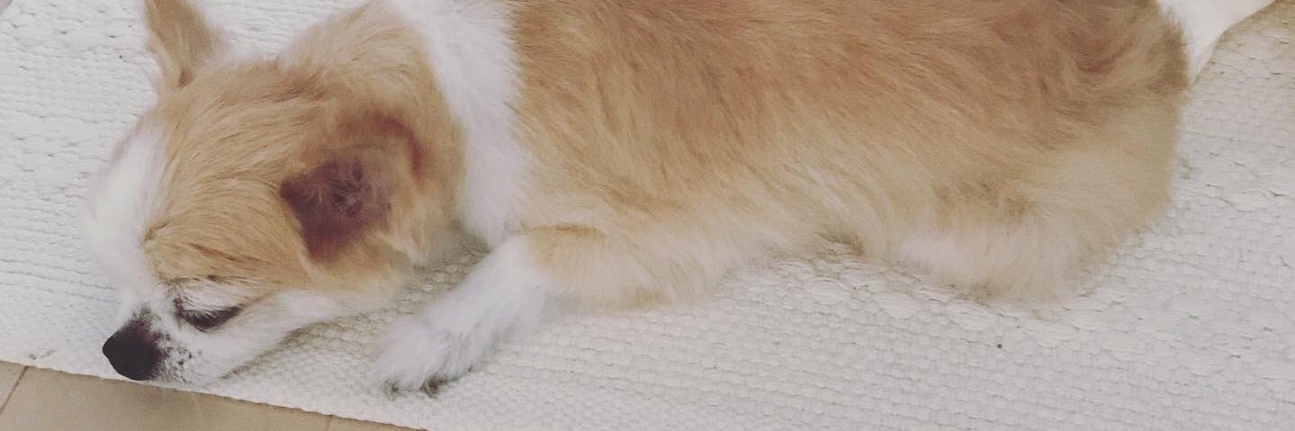 tomotorelac's profile banner image