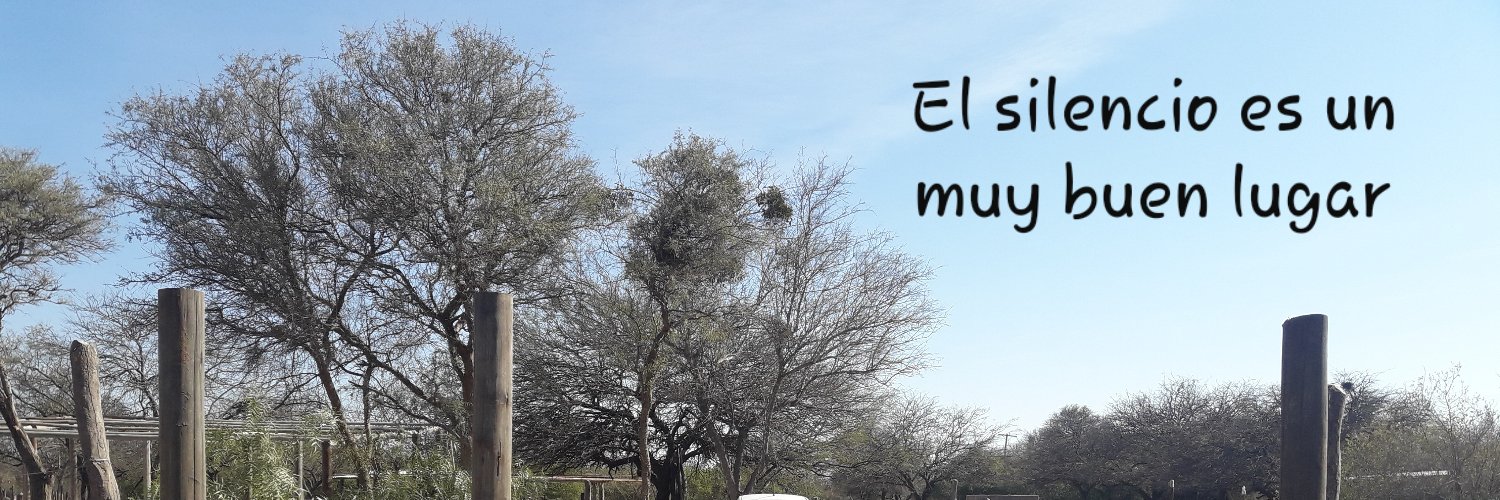 diegoelcura's profile banner image