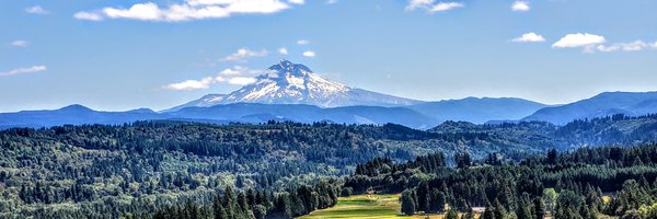 MathDoris Profile Banner