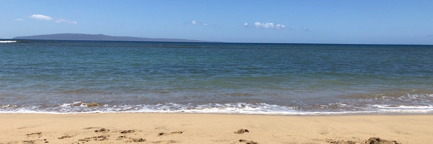 Eitaro Hayashi banner