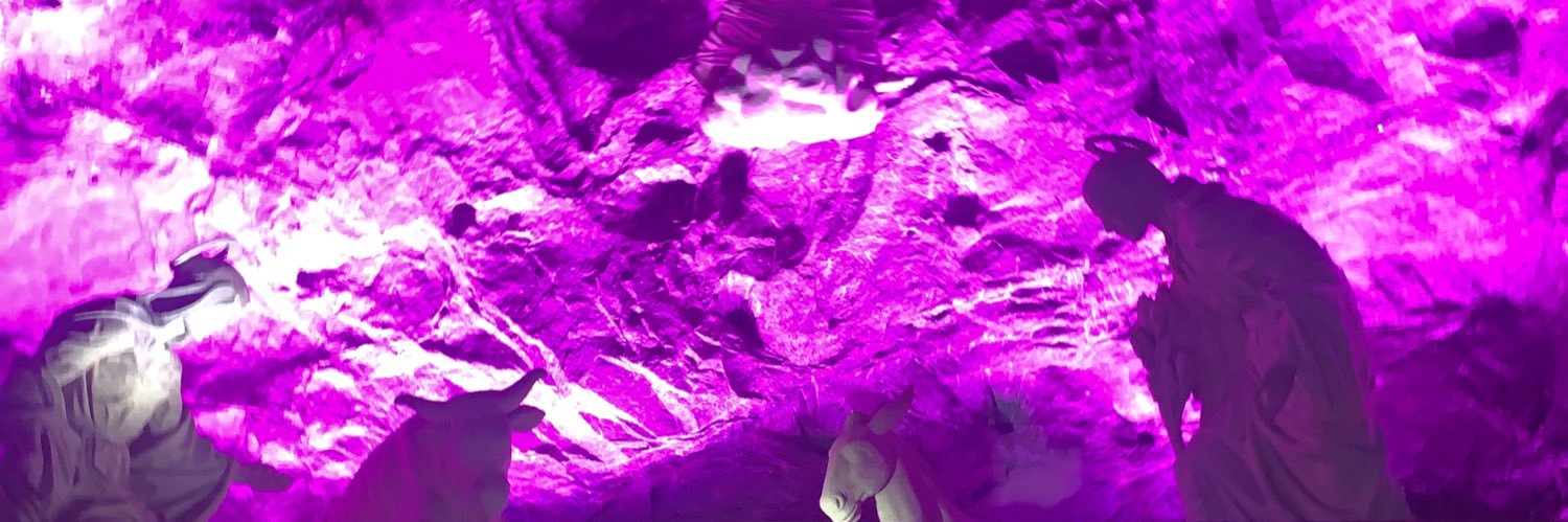 MaFernandaSB_'s profile banner image