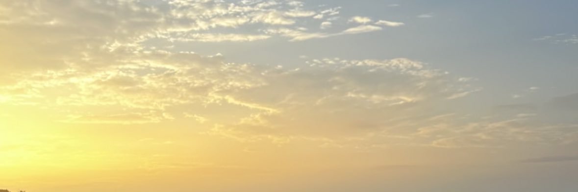 THIA banner