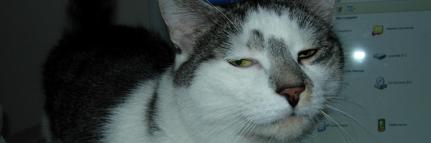 Melissa Kenny banner