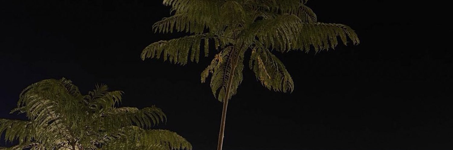 Amall_f1's profile banner image