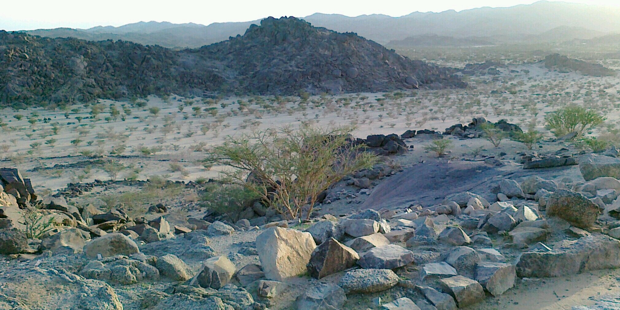 عايض فرزان السبيعي banner