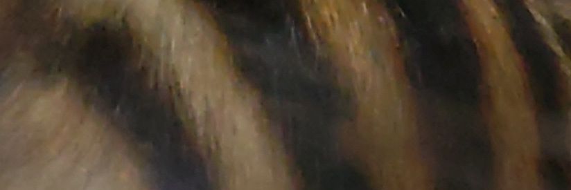 ふぉあふぉあ banner