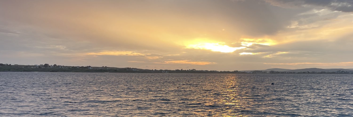 Rónán Ó Coisdealbha banner