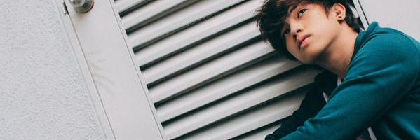 nzo banner