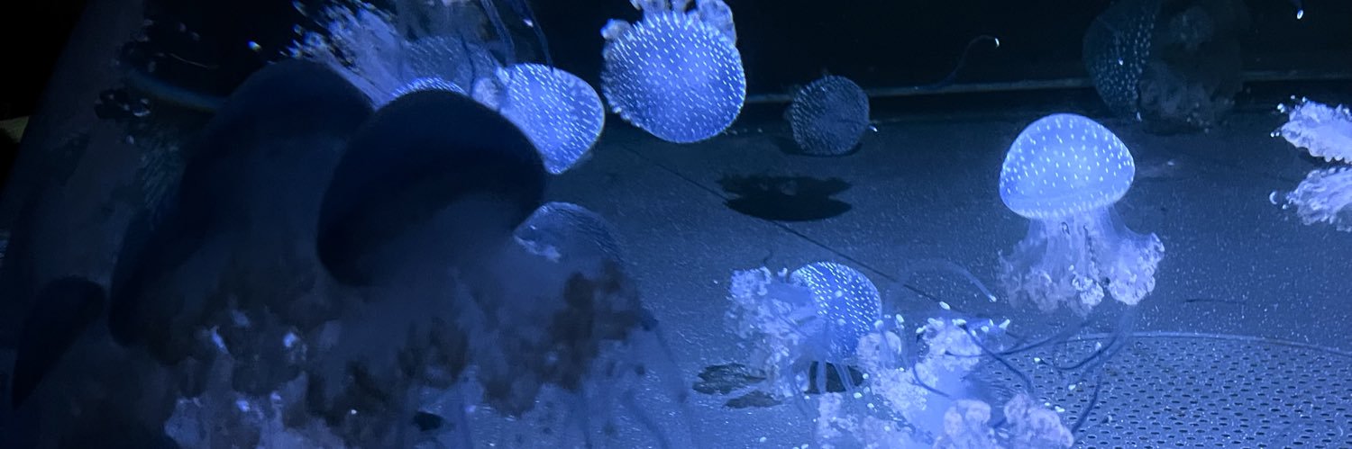 your knight 𓆟 banner