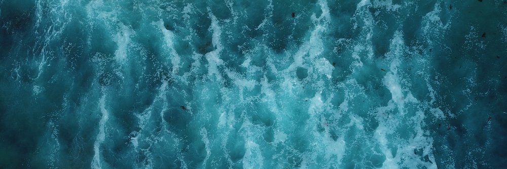 Crystal Moeva banner