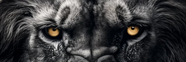 bulkchaindefi Profile Banner