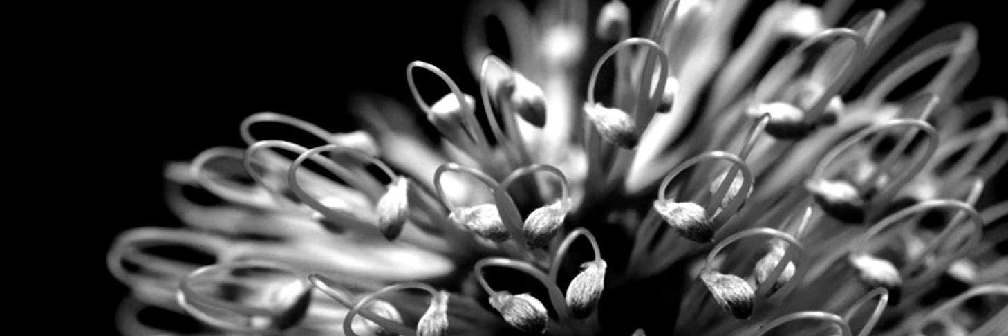 Katy Sonter banner