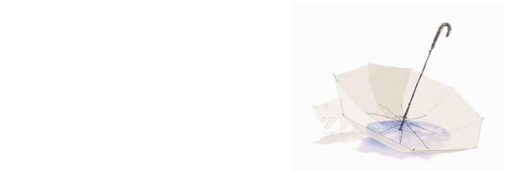 reposseds's profile banner image