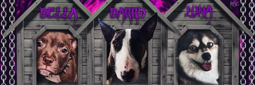 Bella bennett banner