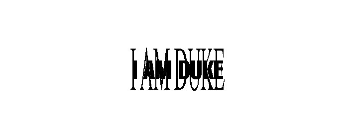 Duke banner