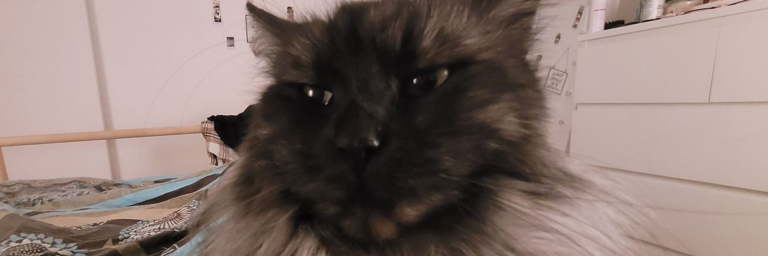 Tamariius's profile banner image