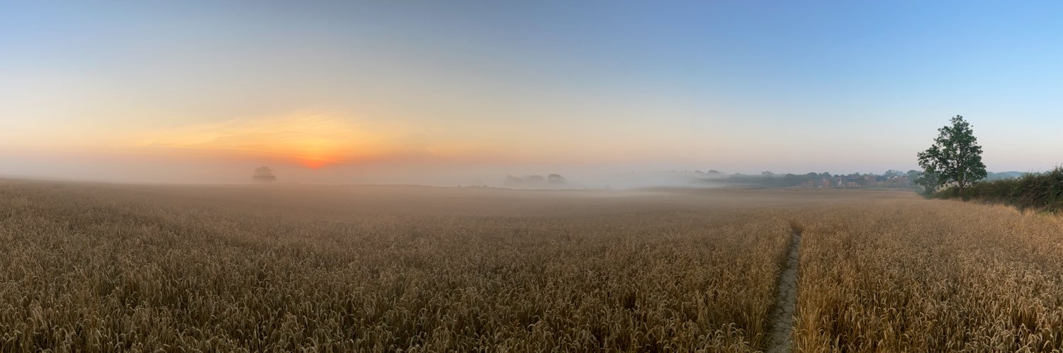 Andy Winter 💙 banner