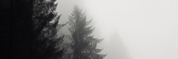 провск banner