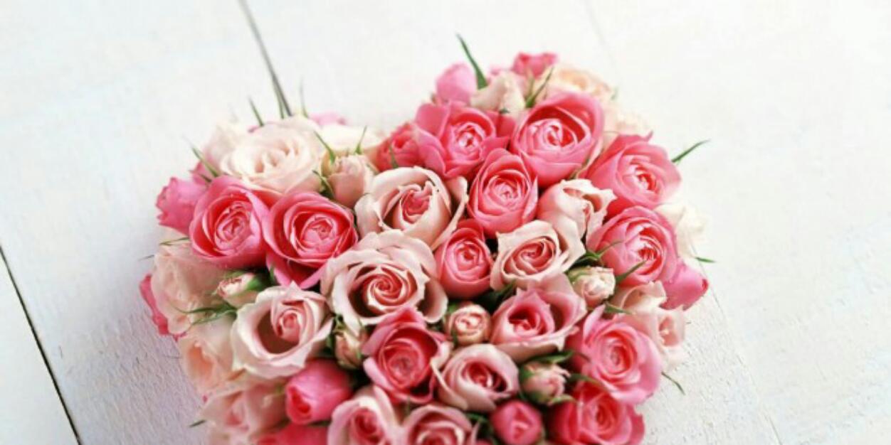 diah_chintya's profile banner image